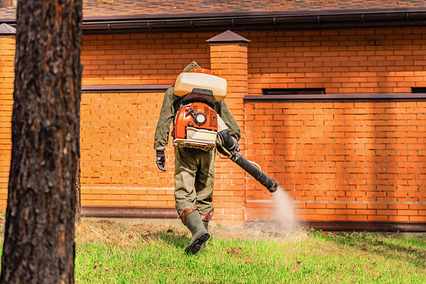 Bed Bug Clearance Verification and Documentation in Stockbridge